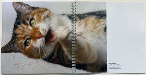20 Years of Prints catalogue, page 9