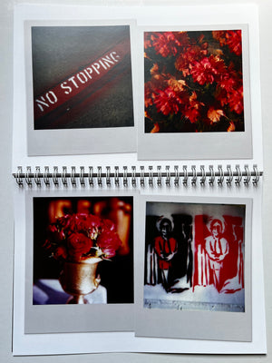 More 80s Polaroids book, page 14